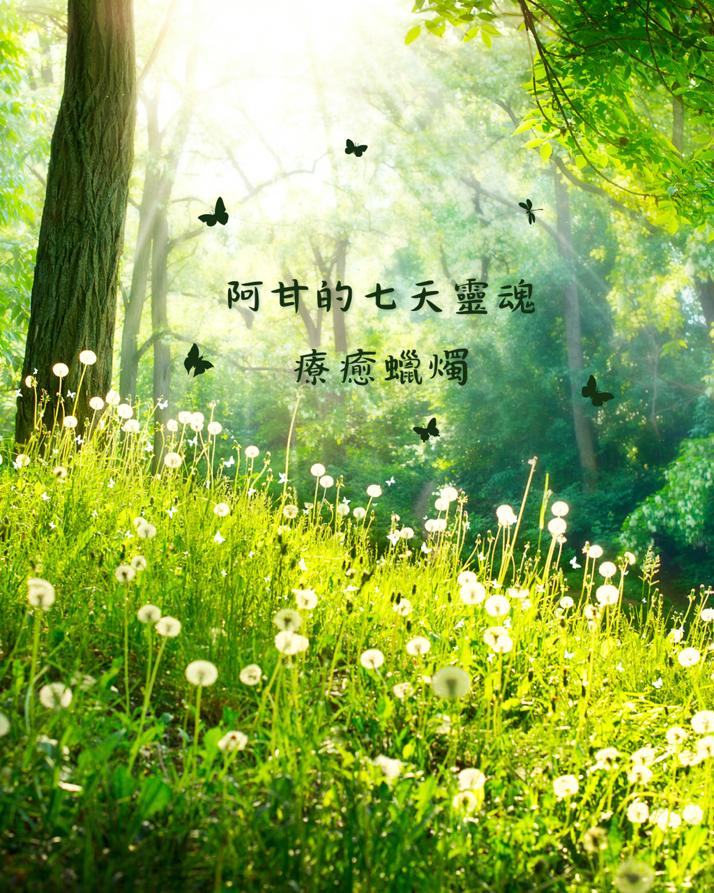 阿甘的七天靈魂療癒蠟燭——僅限會員購買