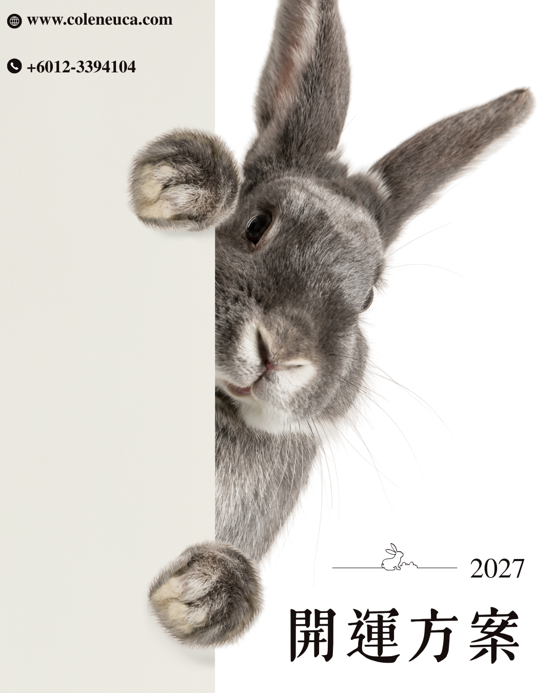 2027年開運方案